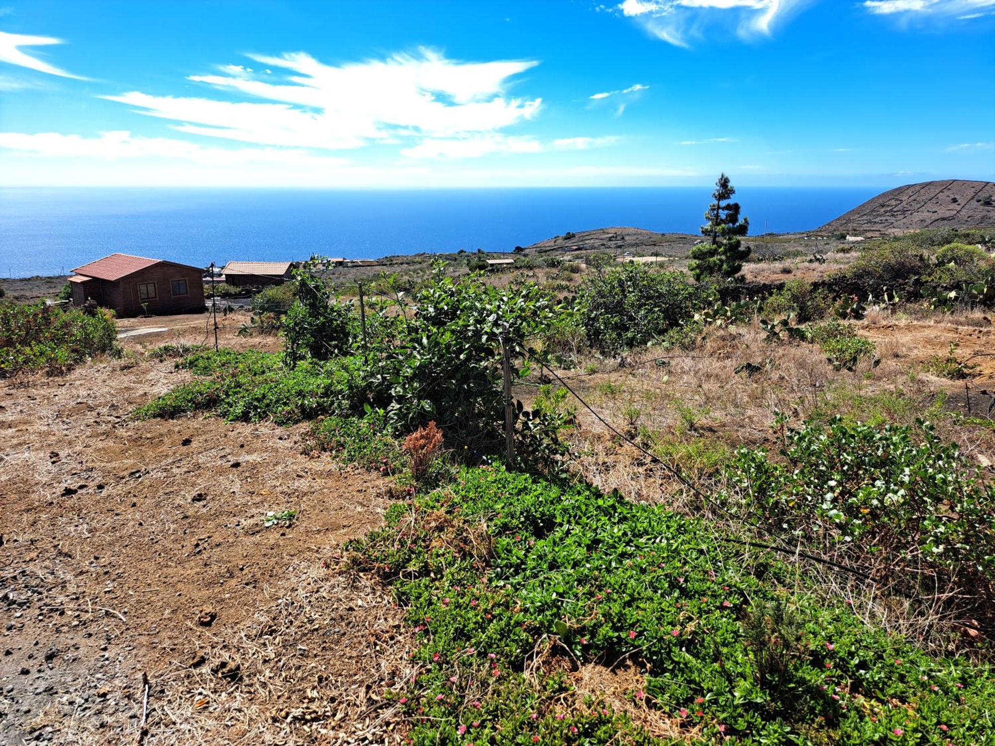 Las Casitas De Pao El Pinar  Quarto foto